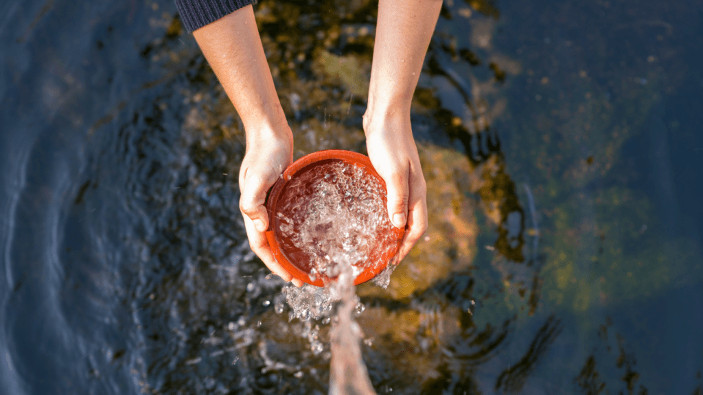 16 Interesting Facts About Water McCowin Featured Img 4 1024x576