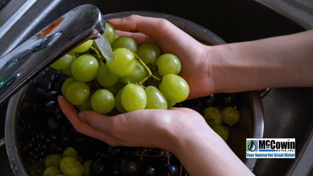 Can I Get A Water Filter System Installed This Week In Irvine 39 1024x576