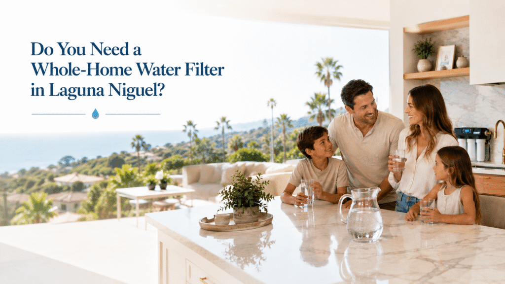 In-House Water Filter Installation in Laguna Niguel