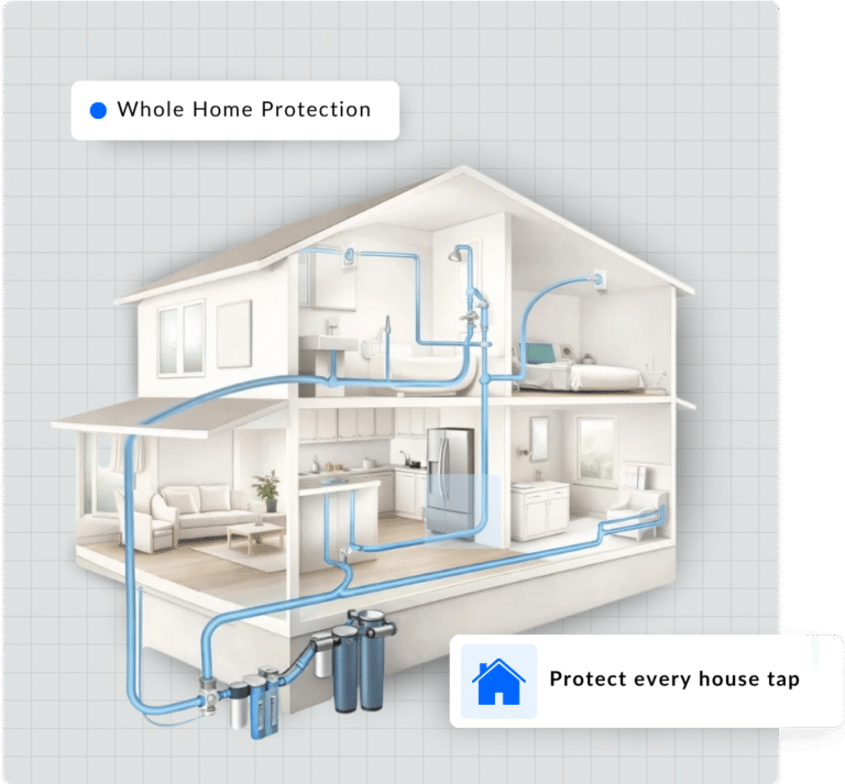 Whole home filtration system protecting every tap and the home's plumbing