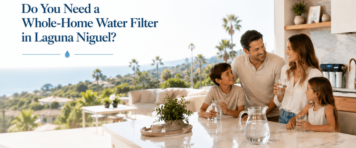 In-House Water Filter Installation in Laguna Niguel