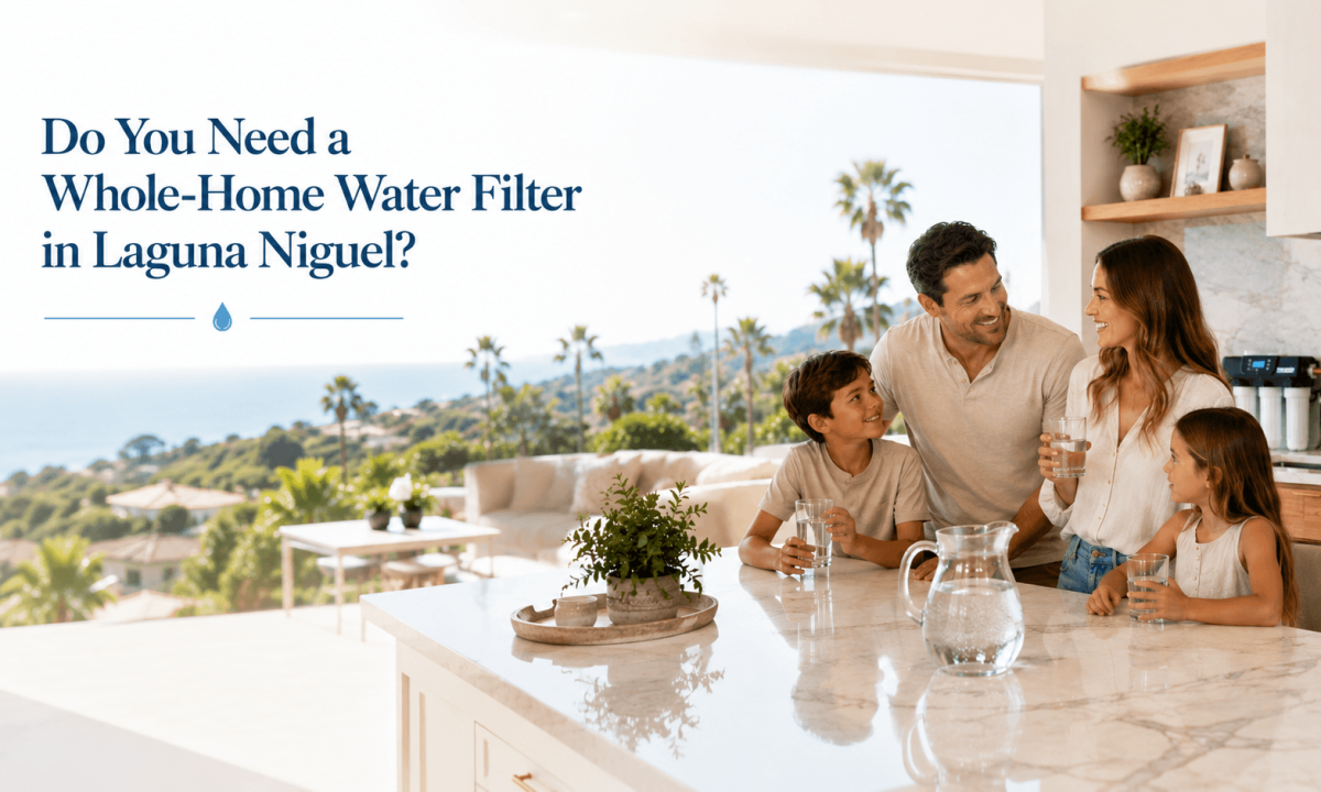 In-House Water Filter Installation in Laguna Niguel
