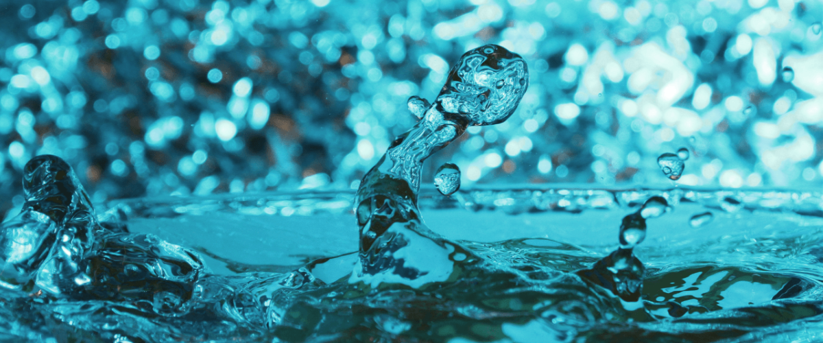 McCowin featured img (13)