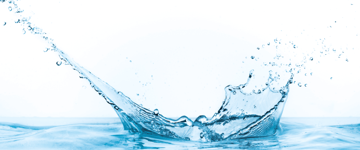 McCowin featured img (14)