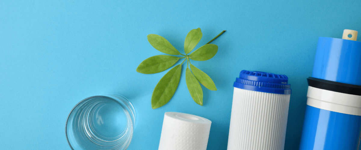 McCowin featured img (30)