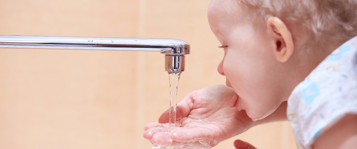 McCowin featured img (36)