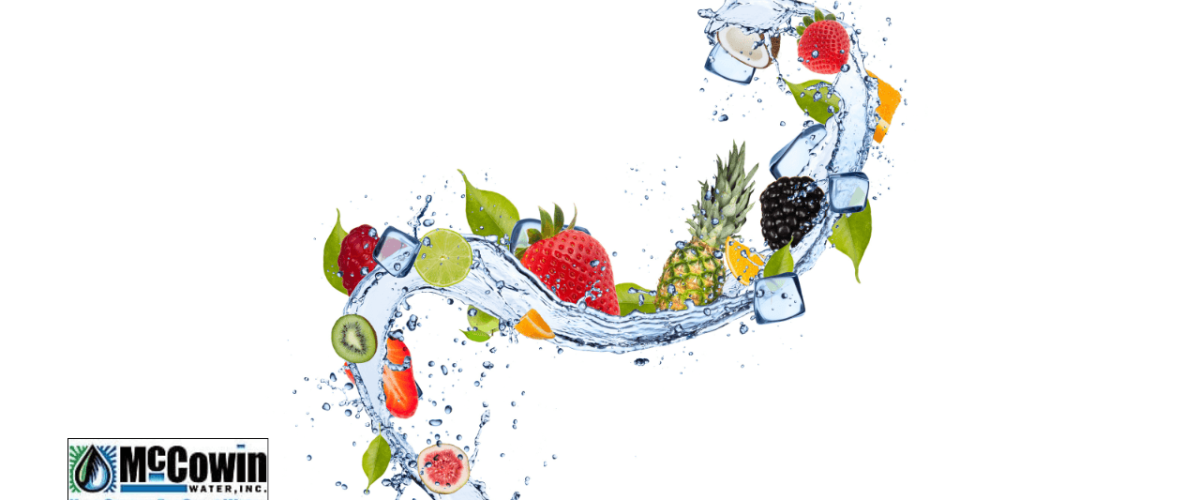 A swirl of purified water with fresh fruit and ice, representing the taste and clarity delivered by the best water filter for drinking.