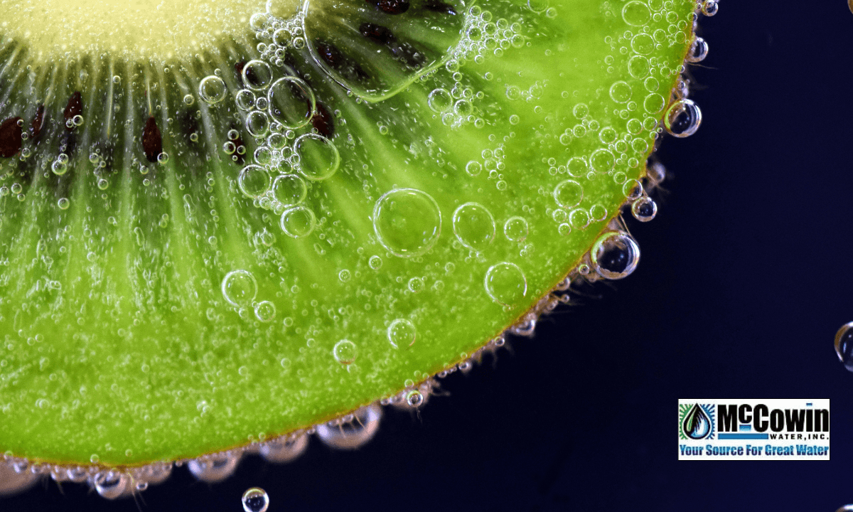 Close-up of kiwi submerged in crystal-clear, purified water; symbolizing the freshness and purity achieved through a reverse osmosis water filter, with McCowin Water logo.