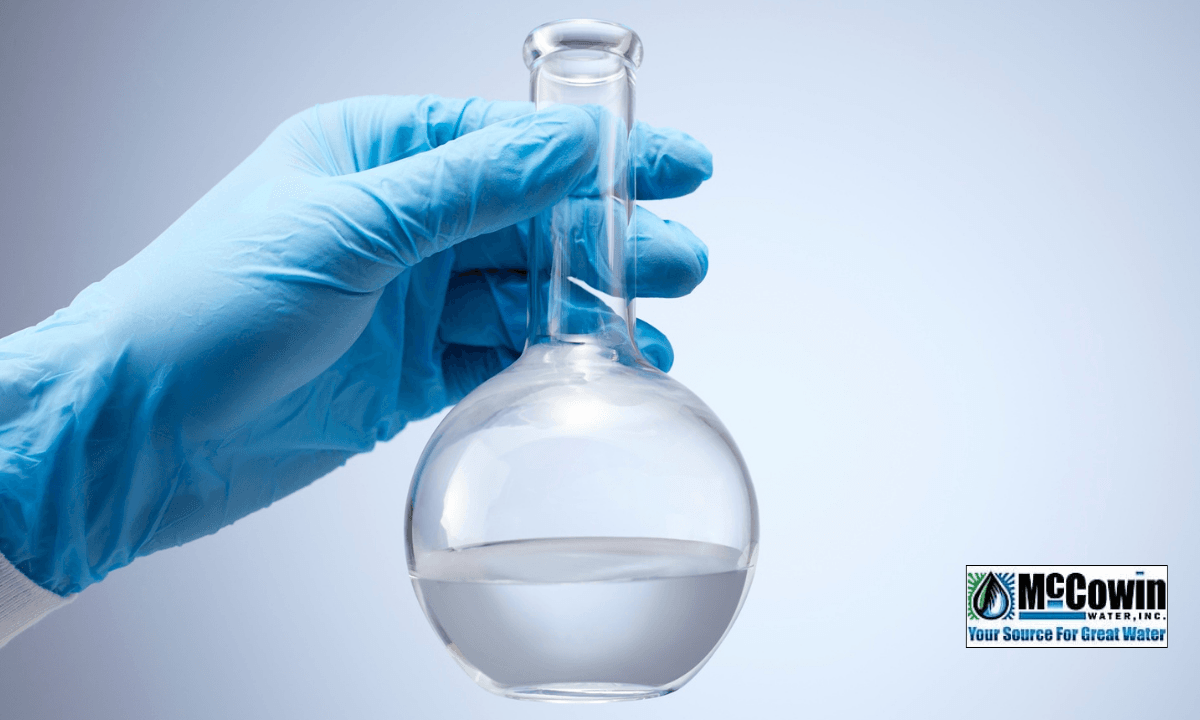 professional water testing